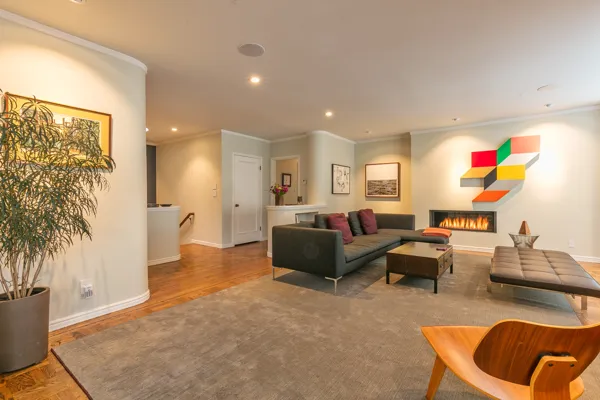 Fully Furnished Modern Style Pacific Heights