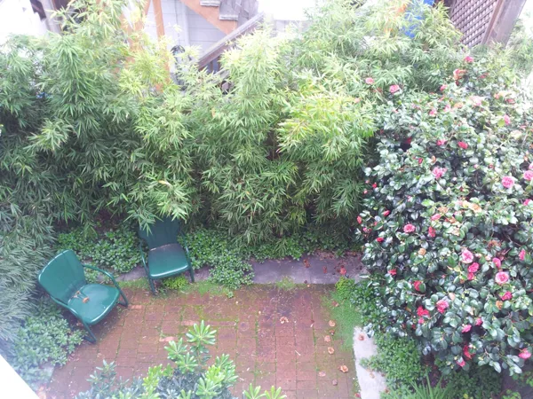 20130315_103252.jpg